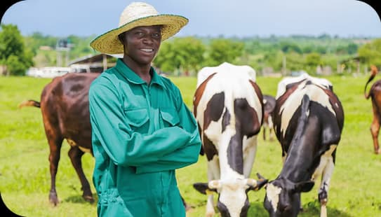 Farmer using Paywise